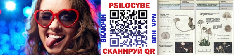 Галлюциногенные грибы GOLDEN TEACHER  Шагонар 