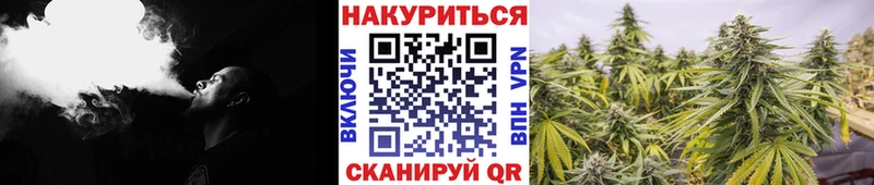 Марихуана планчик  Шагонар 